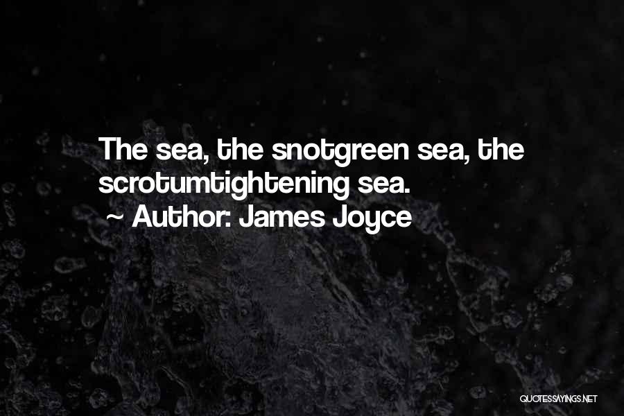 James Joyce Quotes: The Sea, The Snotgreen Sea, The Scrotumtightening Sea.