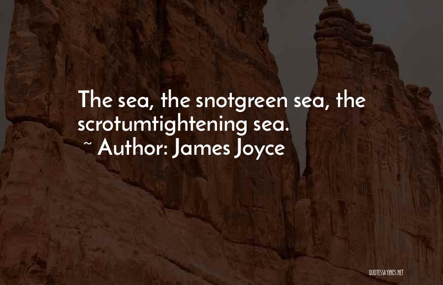 James Joyce Quotes: The Sea, The Snotgreen Sea, The Scrotumtightening Sea.