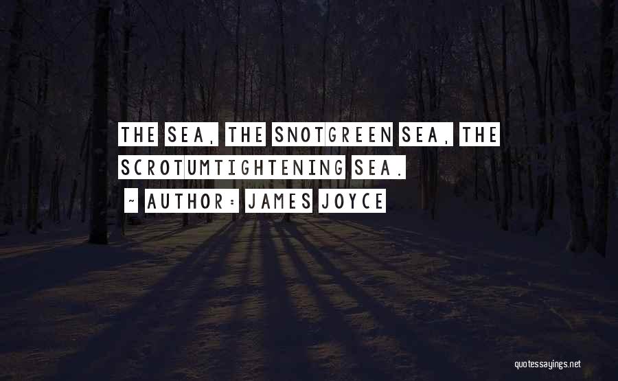 James Joyce Quotes: The Sea, The Snotgreen Sea, The Scrotumtightening Sea.