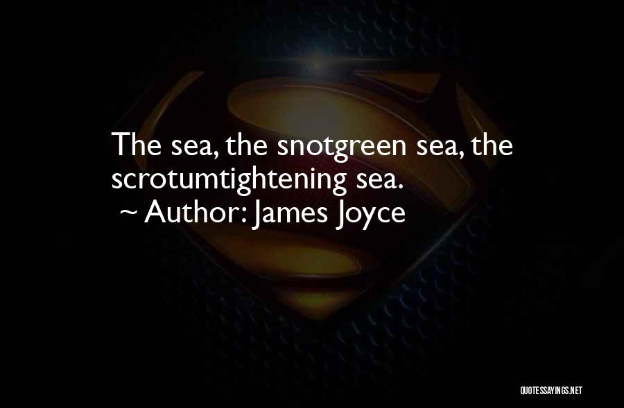 James Joyce Quotes: The Sea, The Snotgreen Sea, The Scrotumtightening Sea.