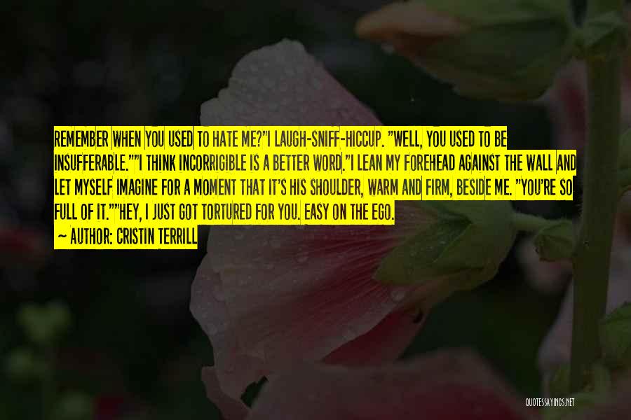 Cristin Terrill Quotes: Remember When You Used To Hate Me?i Laugh-sniff-hiccup. Well, You Used To Be Insufferable.i Think Incorrigible Is A Better Word.i