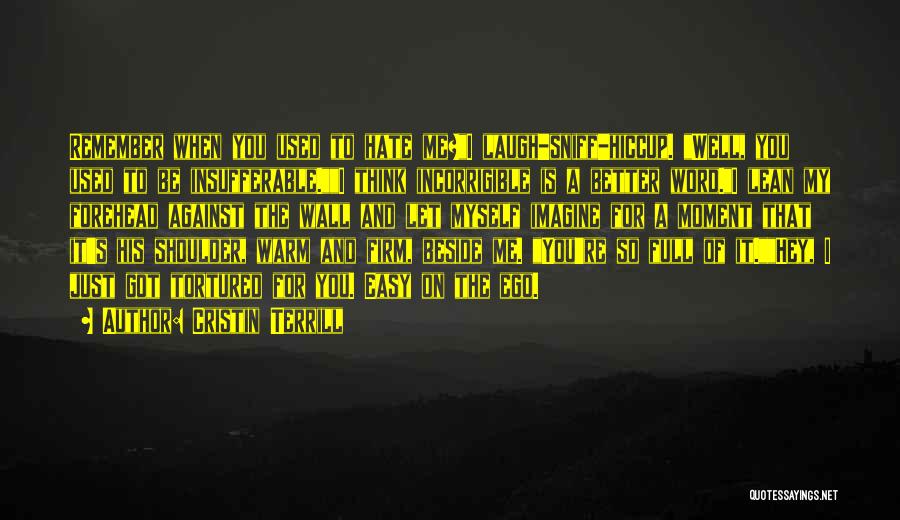 Cristin Terrill Quotes: Remember When You Used To Hate Me?i Laugh-sniff-hiccup. Well, You Used To Be Insufferable.i Think Incorrigible Is A Better Word.i
