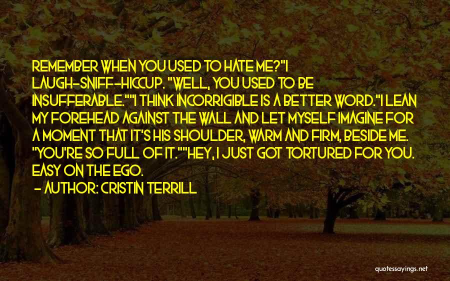 Cristin Terrill Quotes: Remember When You Used To Hate Me?i Laugh-sniff-hiccup. Well, You Used To Be Insufferable.i Think Incorrigible Is A Better Word.i