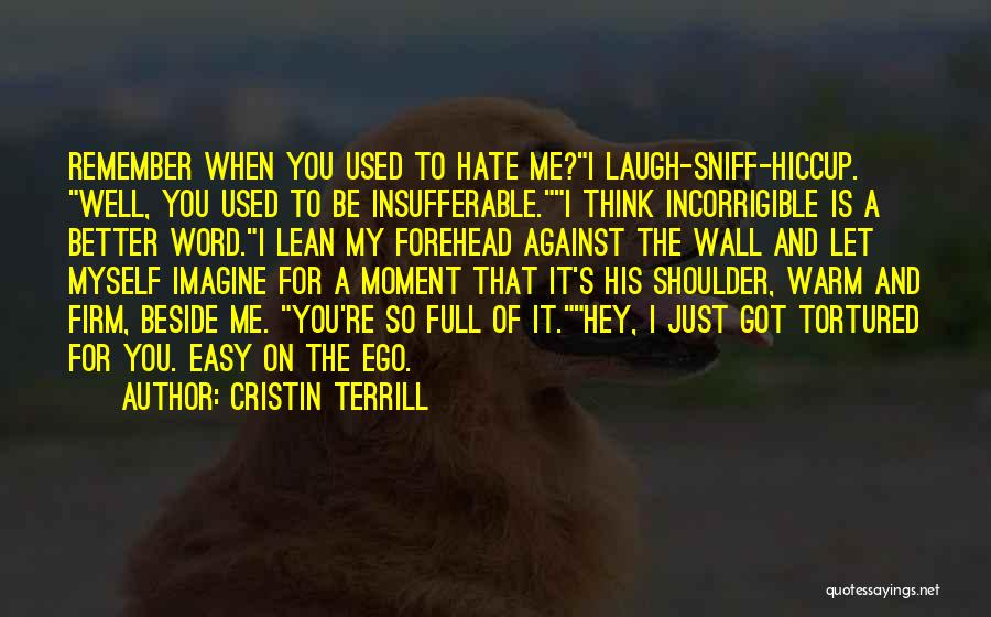 Cristin Terrill Quotes: Remember When You Used To Hate Me?i Laugh-sniff-hiccup. Well, You Used To Be Insufferable.i Think Incorrigible Is A Better Word.i