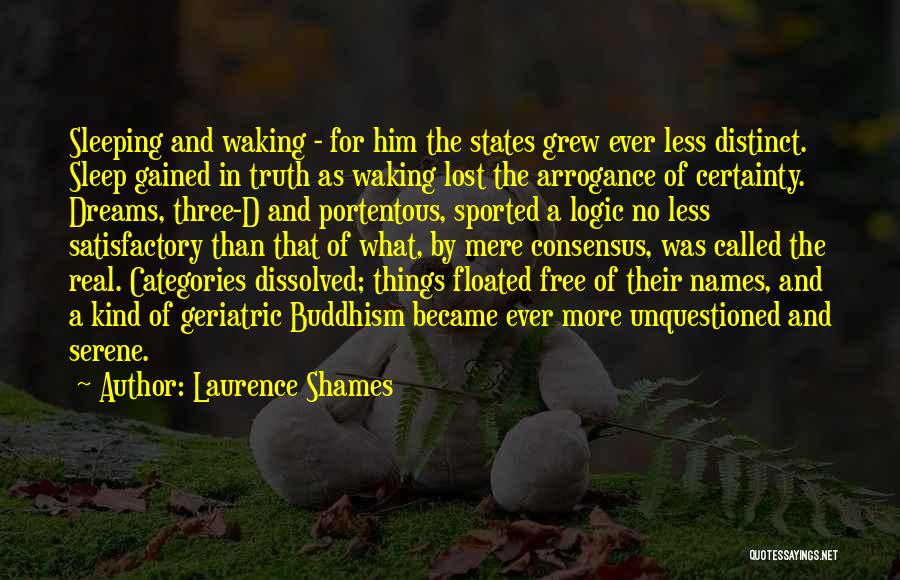 Laurence Shames Quotes: Sleeping And Waking - For Him The States Grew Ever Less Distinct. Sleep Gained In Truth As Waking Lost The