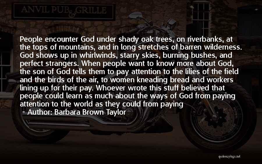 Barbara Brown Taylor Quotes: People Encounter God Under Shady Oak Trees, On Riverbanks, At The Tops Of Mountains, And In Long Stretches Of Barren