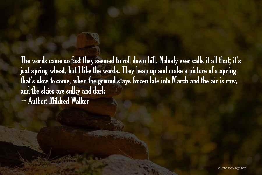 Mildred Walker Quotes: The Words Came So Fast They Seemed To Roll Down Hill. Nobody Ever Calls It All That; It's Just Spring