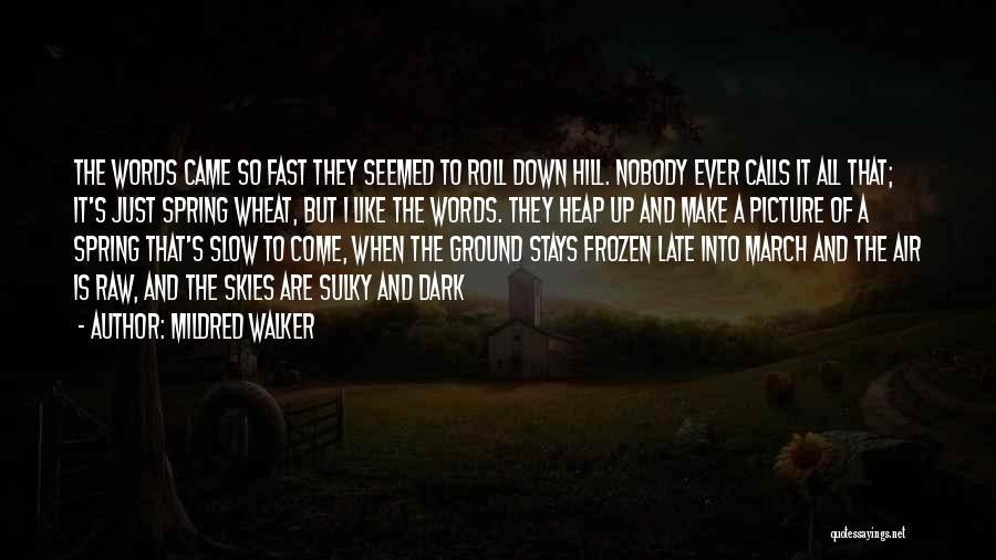 Mildred Walker Quotes: The Words Came So Fast They Seemed To Roll Down Hill. Nobody Ever Calls It All That; It's Just Spring