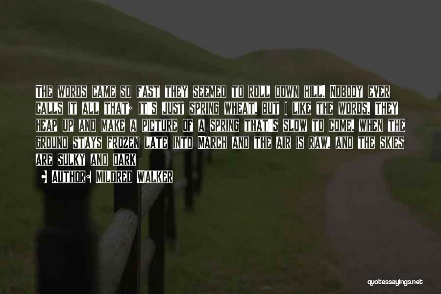 Mildred Walker Quotes: The Words Came So Fast They Seemed To Roll Down Hill. Nobody Ever Calls It All That; It's Just Spring