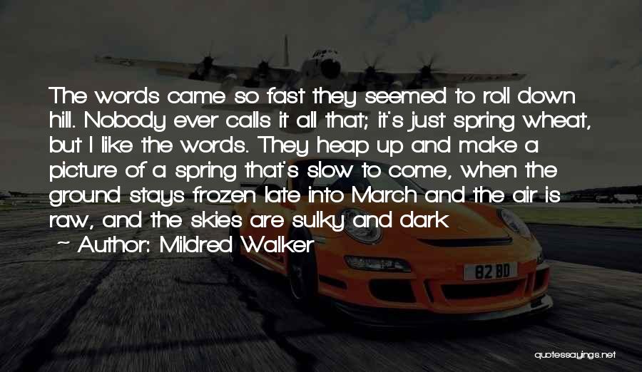 Mildred Walker Quotes: The Words Came So Fast They Seemed To Roll Down Hill. Nobody Ever Calls It All That; It's Just Spring