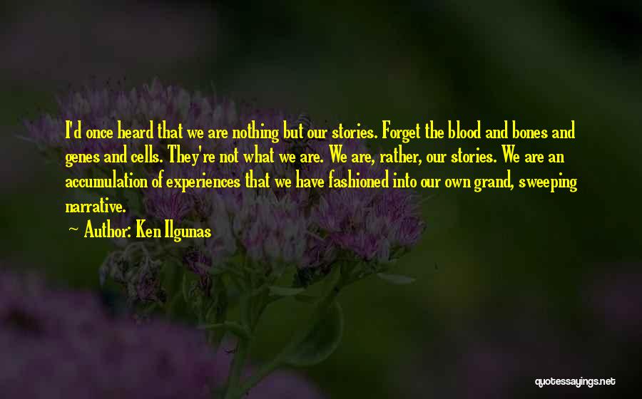 Ken Ilgunas Quotes: I'd Once Heard That We Are Nothing But Our Stories. Forget The Blood And Bones And Genes And Cells. They're