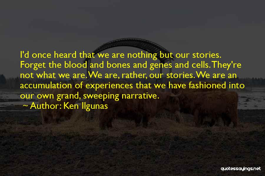 Ken Ilgunas Quotes: I'd Once Heard That We Are Nothing But Our Stories. Forget The Blood And Bones And Genes And Cells. They're
