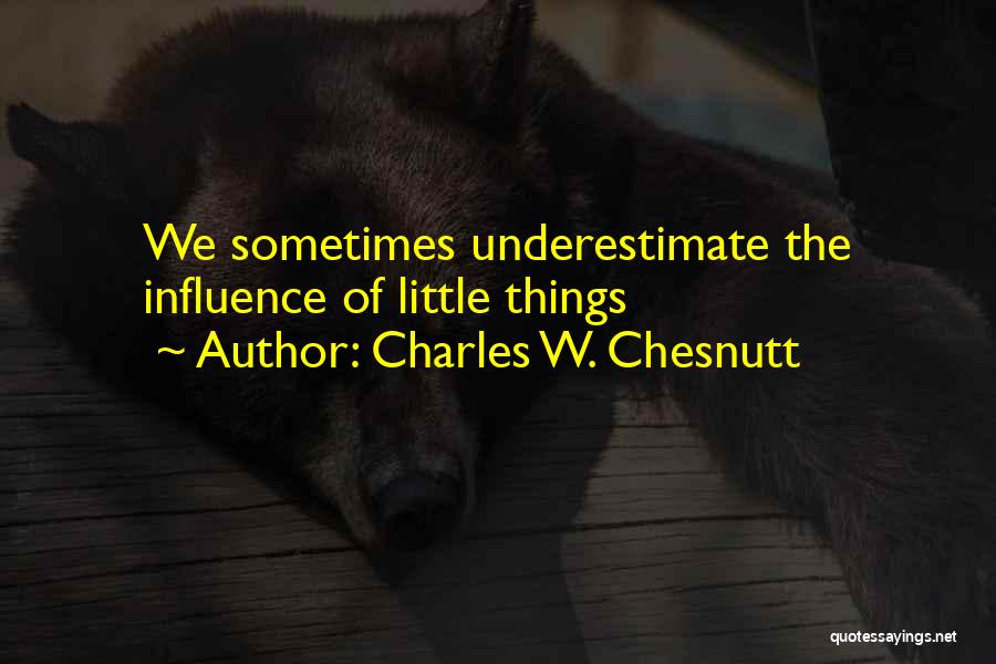 Charles W. Chesnutt Quotes: We Sometimes Underestimate The Influence Of Little Things