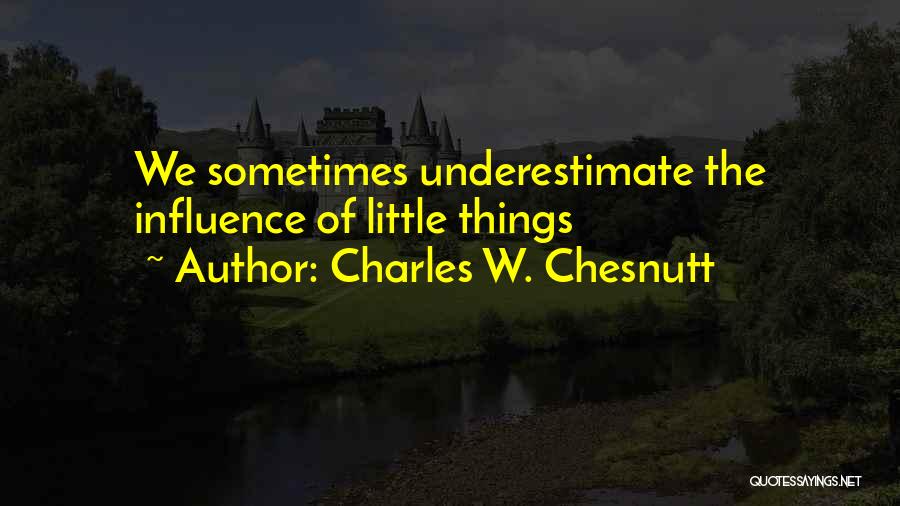 Charles W. Chesnutt Quotes: We Sometimes Underestimate The Influence Of Little Things