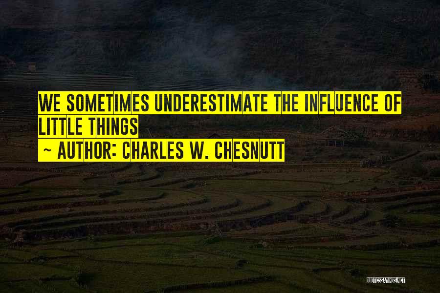 Charles W. Chesnutt Quotes: We Sometimes Underestimate The Influence Of Little Things