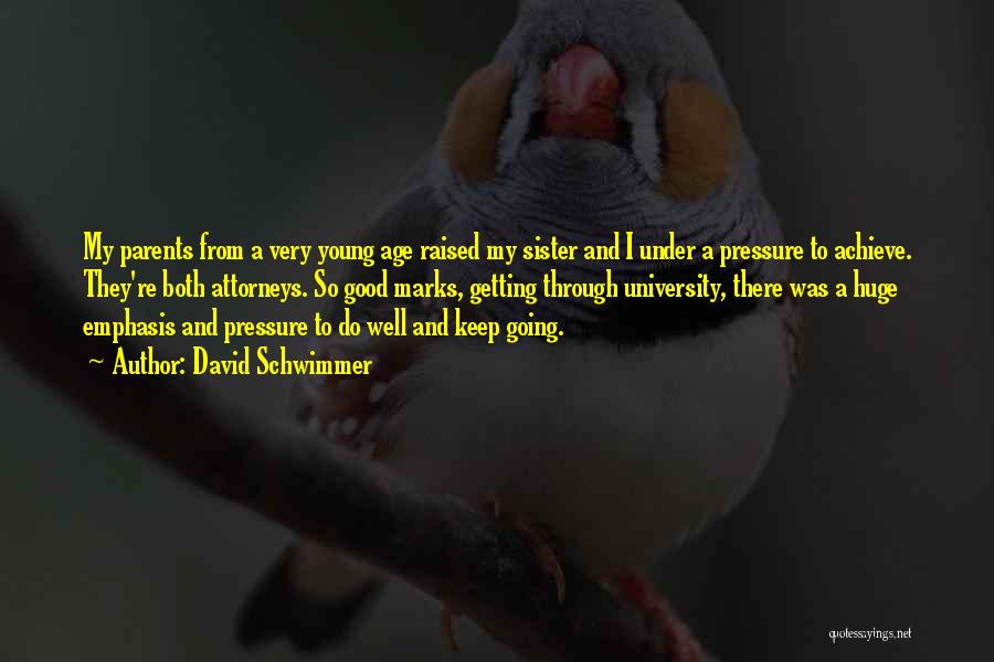 David Schwimmer Quotes: My Parents From A Very Young Age Raised My Sister And I Under A Pressure To Achieve. They're Both Attorneys.