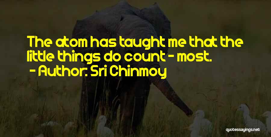 Sri Chinmoy Quotes: The Atom Has Taught Me That The Little Things Do Count - Most.