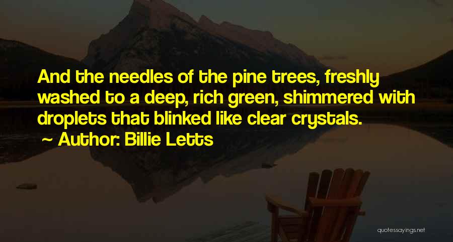 Billie Letts Quotes: And The Needles Of The Pine Trees, Freshly Washed To A Deep, Rich Green, Shimmered With Droplets That Blinked Like