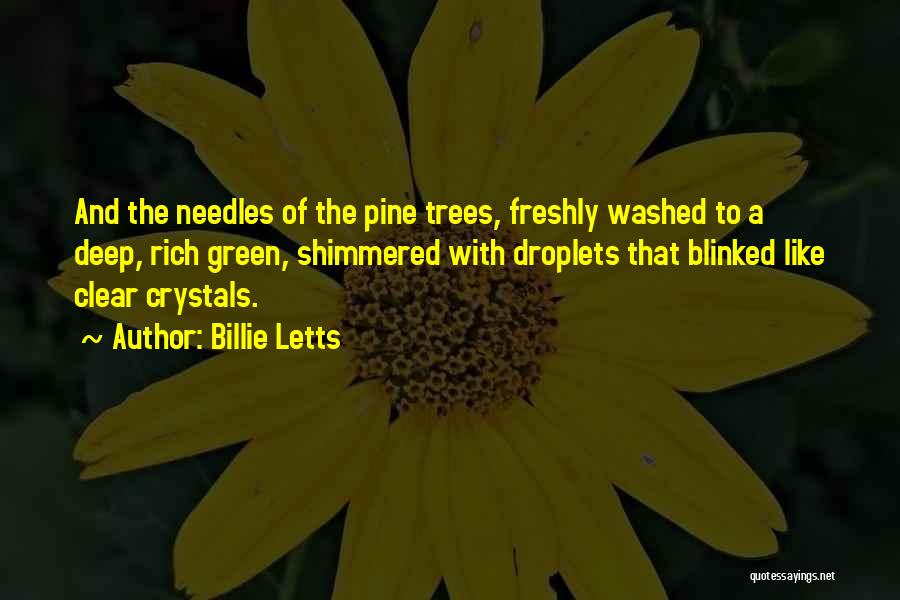 Billie Letts Quotes: And The Needles Of The Pine Trees, Freshly Washed To A Deep, Rich Green, Shimmered With Droplets That Blinked Like