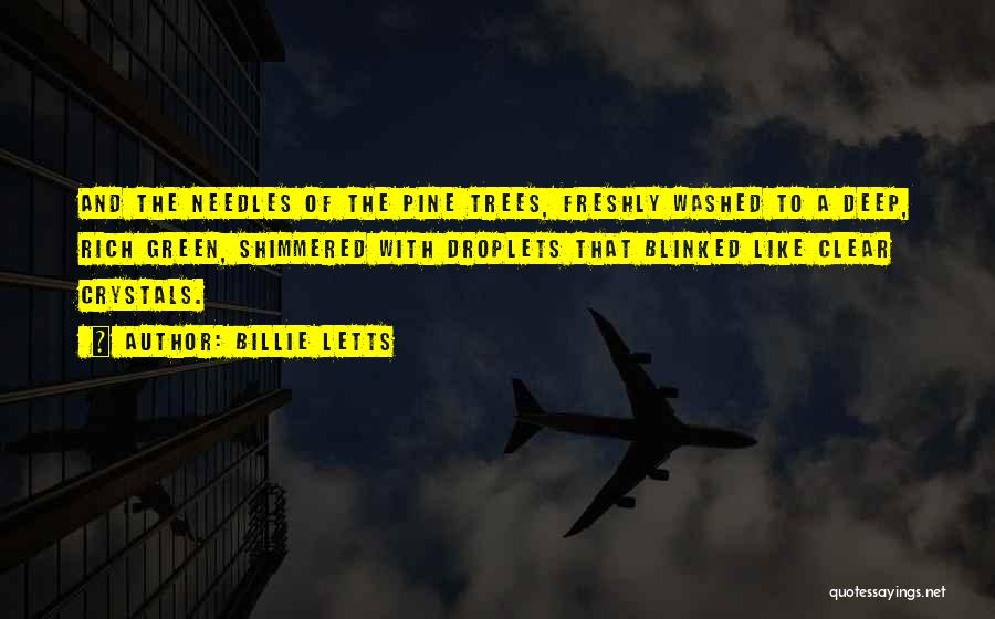 Billie Letts Quotes: And The Needles Of The Pine Trees, Freshly Washed To A Deep, Rich Green, Shimmered With Droplets That Blinked Like