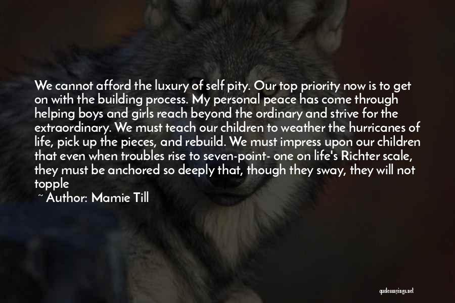 Mamie Till Quotes: We Cannot Afford The Luxury Of Self Pity. Our Top Priority Now Is To Get On With The Building Process.