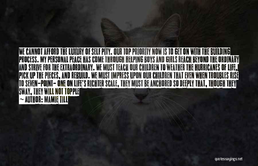 Mamie Till Quotes: We Cannot Afford The Luxury Of Self Pity. Our Top Priority Now Is To Get On With The Building Process.