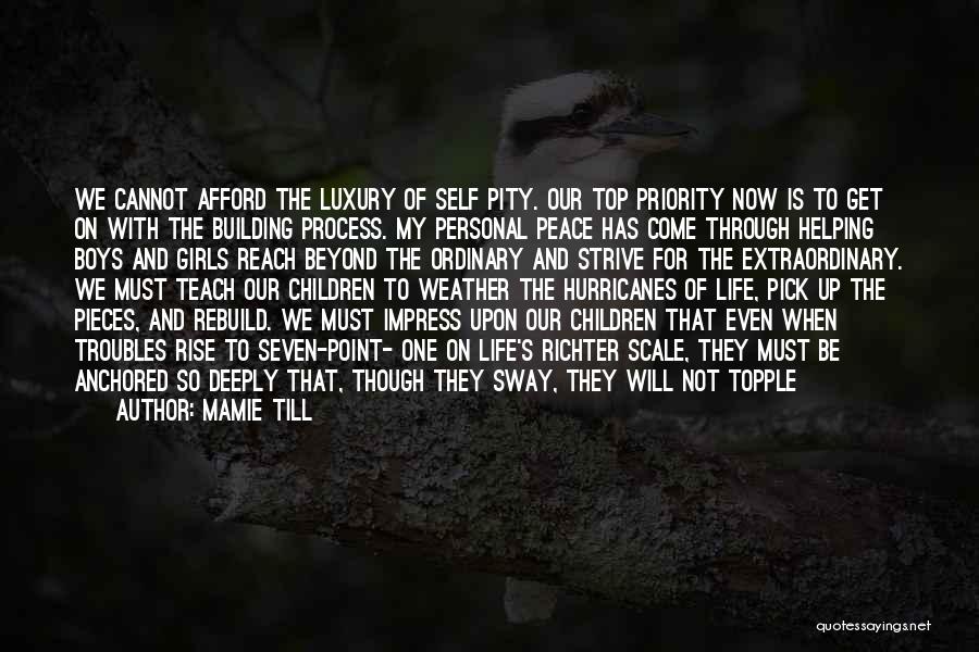 Mamie Till Quotes: We Cannot Afford The Luxury Of Self Pity. Our Top Priority Now Is To Get On With The Building Process.