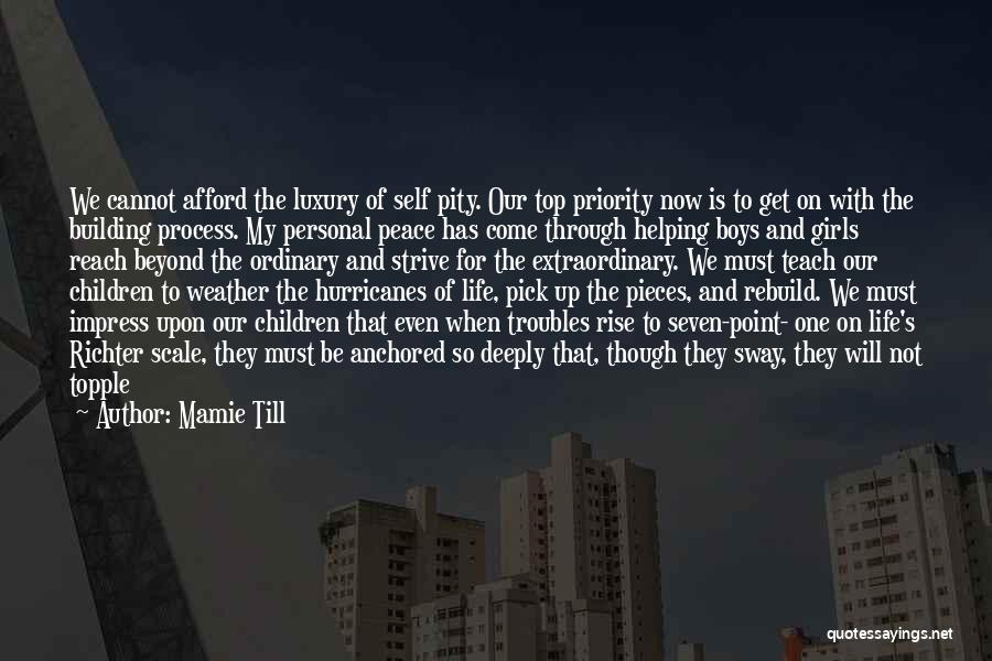 Mamie Till Quotes: We Cannot Afford The Luxury Of Self Pity. Our Top Priority Now Is To Get On With The Building Process.