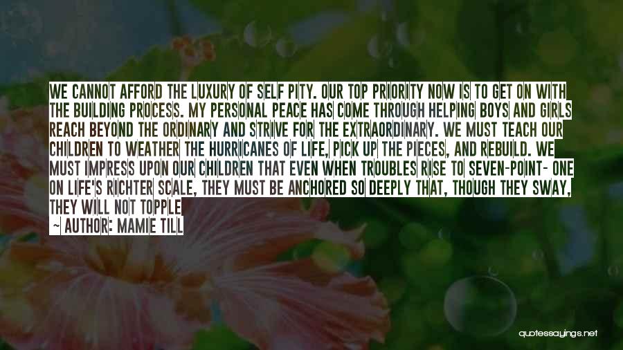 Mamie Till Quotes: We Cannot Afford The Luxury Of Self Pity. Our Top Priority Now Is To Get On With The Building Process.