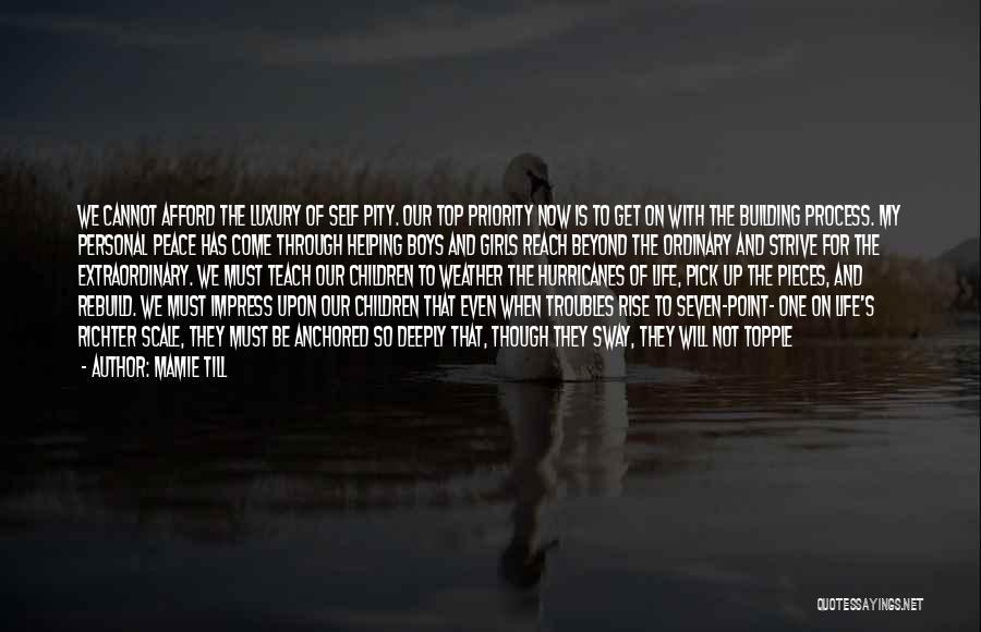 Mamie Till Quotes: We Cannot Afford The Luxury Of Self Pity. Our Top Priority Now Is To Get On With The Building Process.