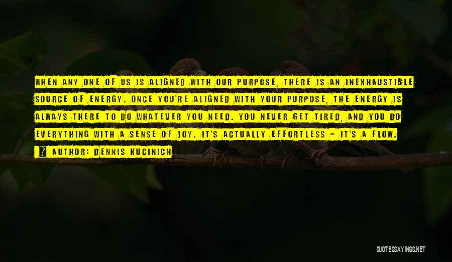 Dennis Kucinich Quotes: When Any One Of Us Is Aligned With Our Purpose, There Is An Inexhaustible Source Of Energy. Once You're Aligned