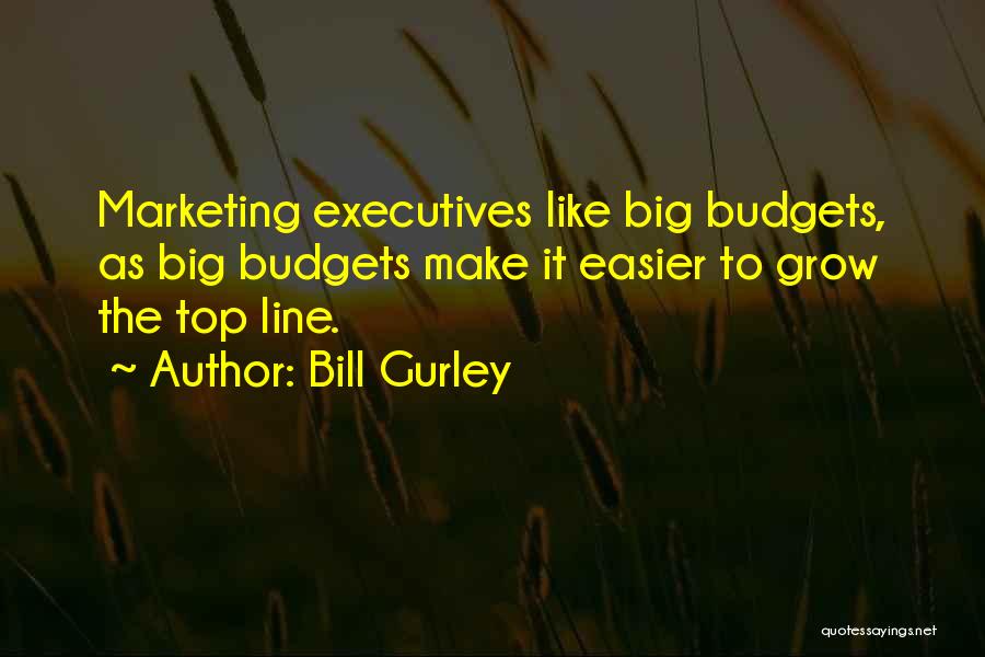 Bill Gurley Quotes: Marketing Executives Like Big Budgets, As Big Budgets Make It Easier To Grow The Top Line.