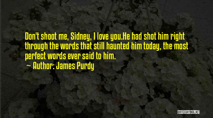 James Purdy Quotes: Don't Shoot Me, Sidney, I Love You.he Had Shot Him Right Through The Words That Still Haunted Him Today, The