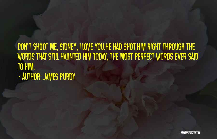James Purdy Quotes: Don't Shoot Me, Sidney, I Love You.he Had Shot Him Right Through The Words That Still Haunted Him Today, The