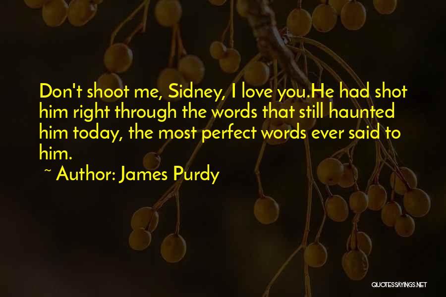 James Purdy Quotes: Don't Shoot Me, Sidney, I Love You.he Had Shot Him Right Through The Words That Still Haunted Him Today, The