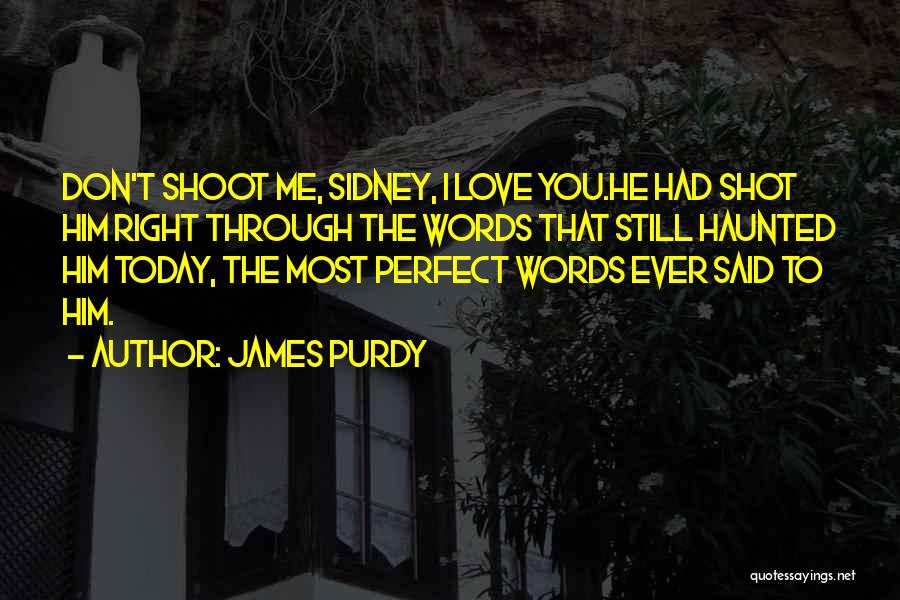James Purdy Quotes: Don't Shoot Me, Sidney, I Love You.he Had Shot Him Right Through The Words That Still Haunted Him Today, The