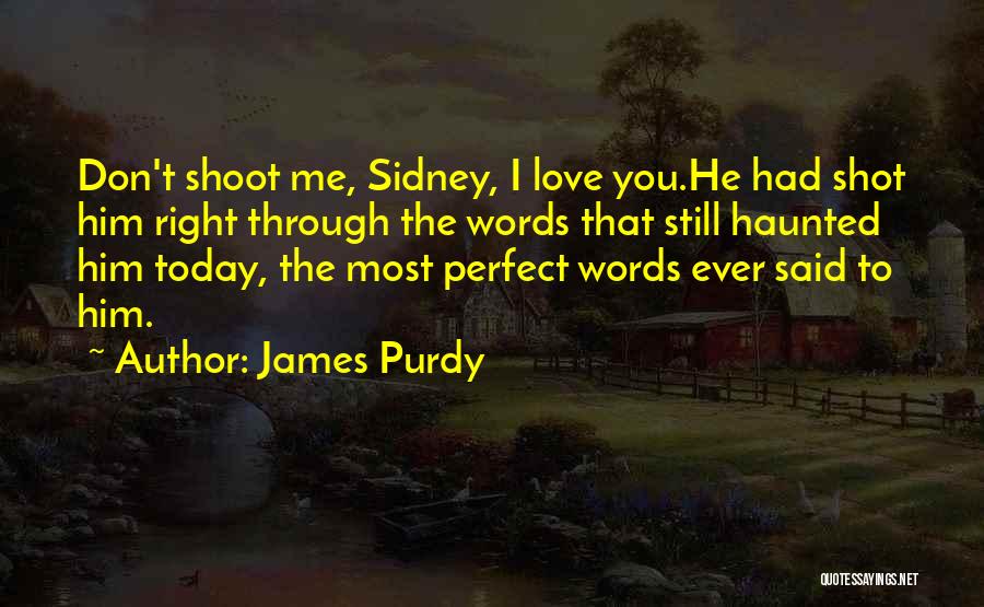 James Purdy Quotes: Don't Shoot Me, Sidney, I Love You.he Had Shot Him Right Through The Words That Still Haunted Him Today, The