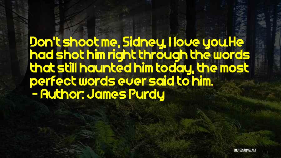 James Purdy Quotes: Don't Shoot Me, Sidney, I Love You.he Had Shot Him Right Through The Words That Still Haunted Him Today, The