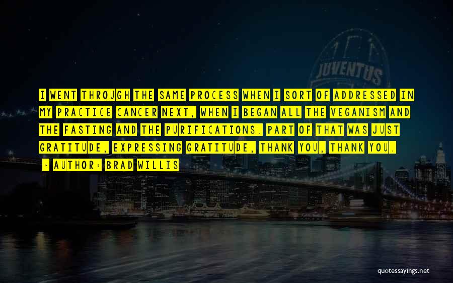 Brad Willis Quotes: I Went Through The Same Process When I Sort Of Addressed In My Practice Cancer Next, When I Began All