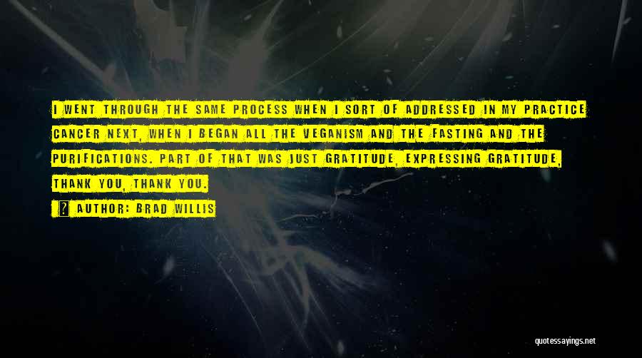 Brad Willis Quotes: I Went Through The Same Process When I Sort Of Addressed In My Practice Cancer Next, When I Began All