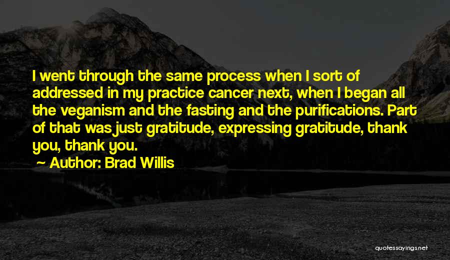 Brad Willis Quotes: I Went Through The Same Process When I Sort Of Addressed In My Practice Cancer Next, When I Began All