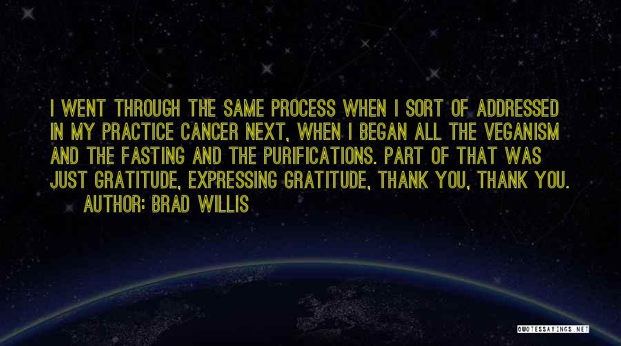 Brad Willis Quotes: I Went Through The Same Process When I Sort Of Addressed In My Practice Cancer Next, When I Began All