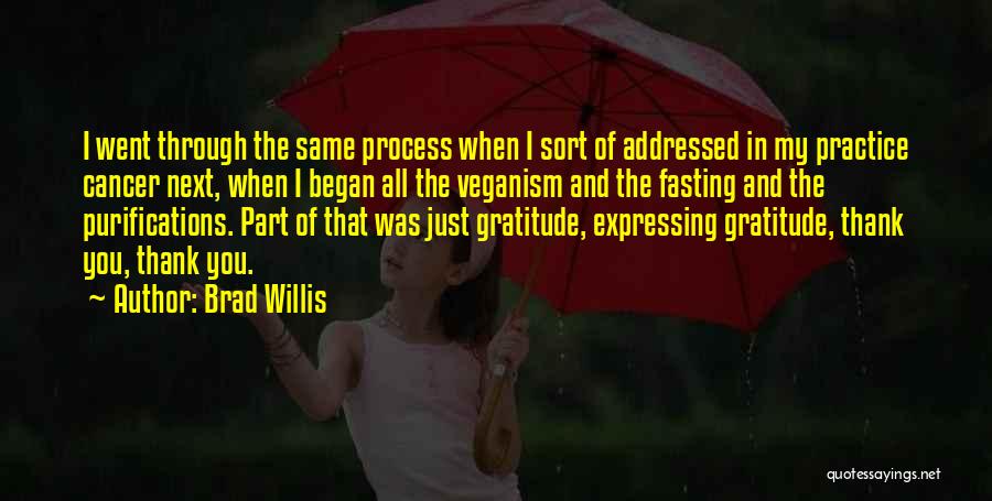 Brad Willis Quotes: I Went Through The Same Process When I Sort Of Addressed In My Practice Cancer Next, When I Began All