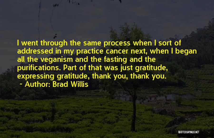 Brad Willis Quotes: I Went Through The Same Process When I Sort Of Addressed In My Practice Cancer Next, When I Began All