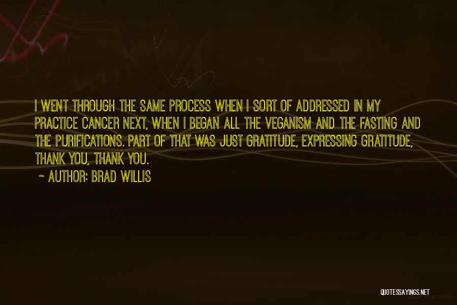 Brad Willis Quotes: I Went Through The Same Process When I Sort Of Addressed In My Practice Cancer Next, When I Began All