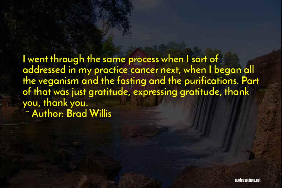 Brad Willis Quotes: I Went Through The Same Process When I Sort Of Addressed In My Practice Cancer Next, When I Began All