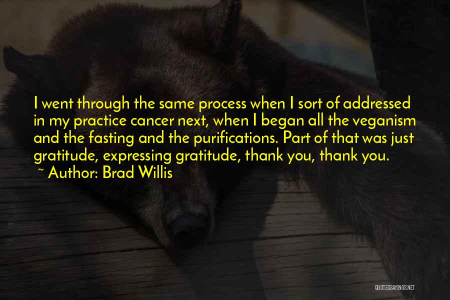 Brad Willis Quotes: I Went Through The Same Process When I Sort Of Addressed In My Practice Cancer Next, When I Began All