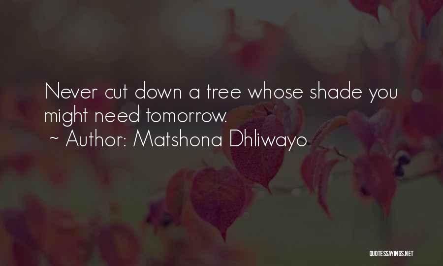 Matshona Dhliwayo Quotes: Never Cut Down A Tree Whose Shade You Might Need Tomorrow.