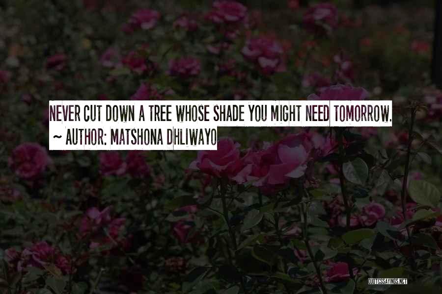 Matshona Dhliwayo Quotes: Never Cut Down A Tree Whose Shade You Might Need Tomorrow.