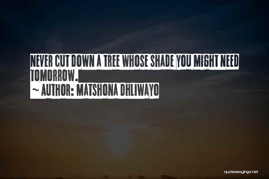 Matshona Dhliwayo Quotes: Never Cut Down A Tree Whose Shade You Might Need Tomorrow.